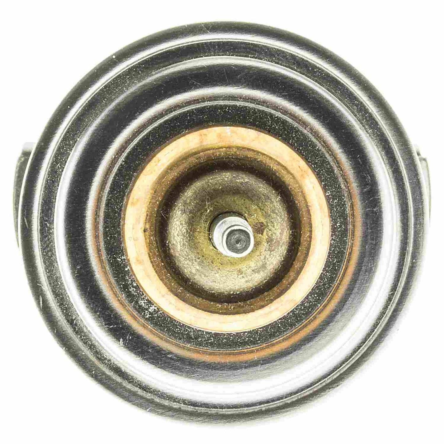 Motorad Engine Coolant Thermostat