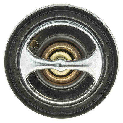 Motorad Engine Coolant Thermostat