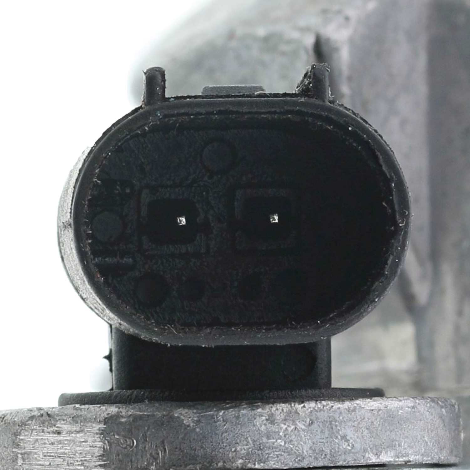 Motorad Engine Coolant Thermostat