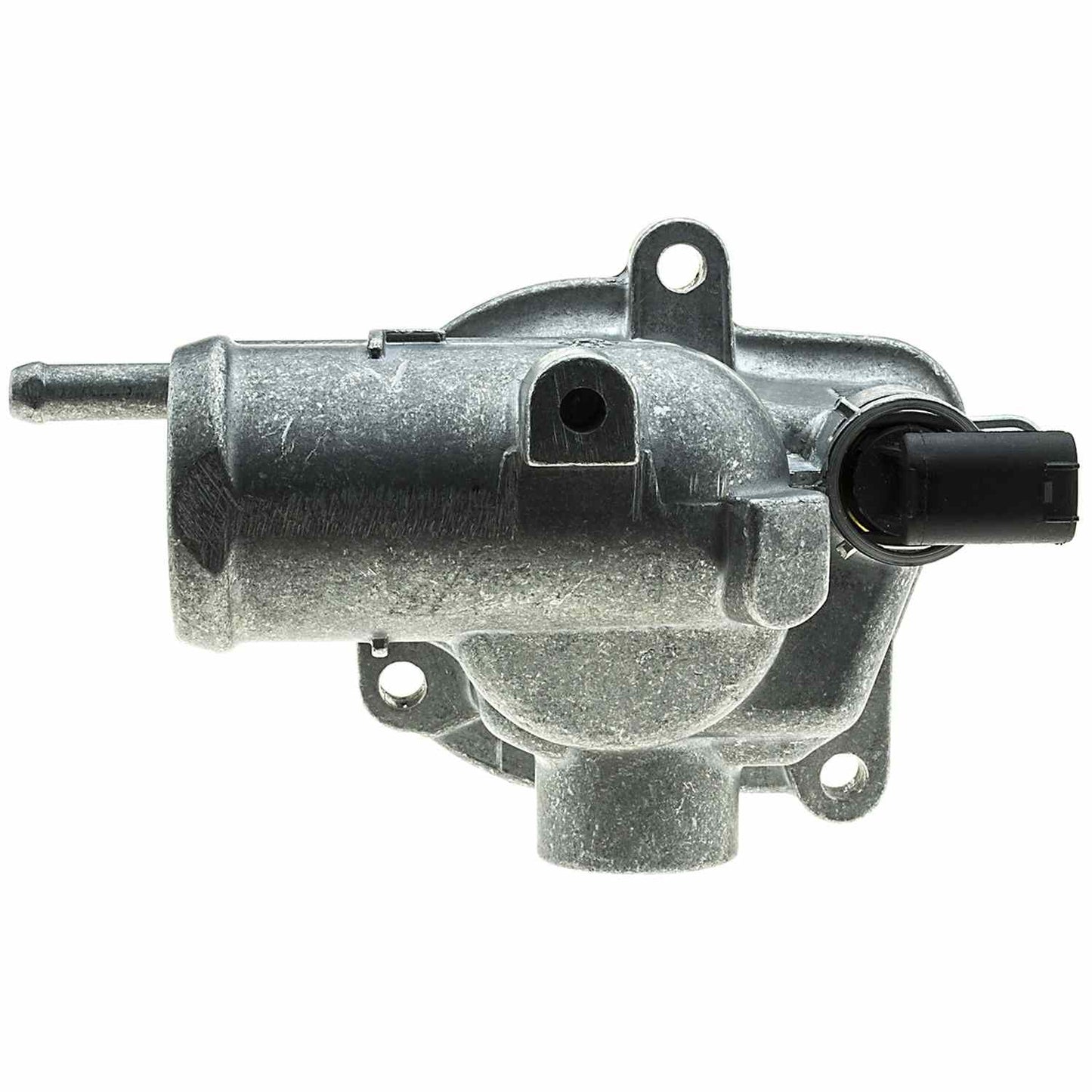 Motorad Engine Coolant Thermostat