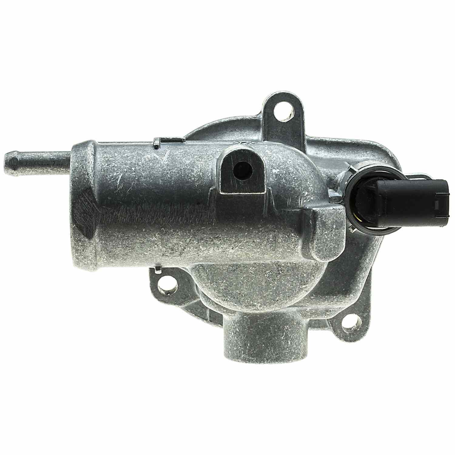 Motorad Engine Coolant Thermostat