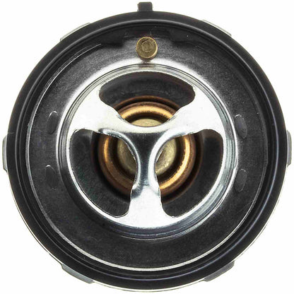 Motorad Engine Coolant Thermostat 523-160