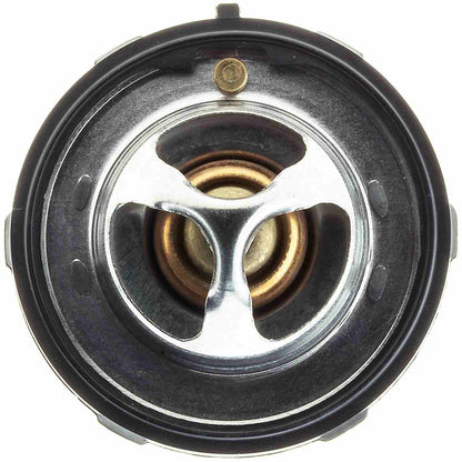 Motorad Engine Coolant Thermostat 523-174