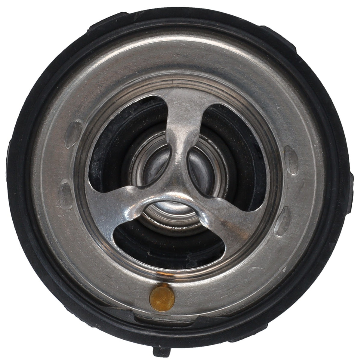 Motorad Vehicle Part 5523-160
