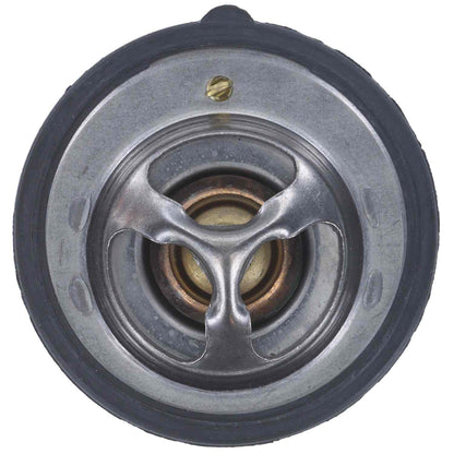 Motorad Engine Coolant Thermostat