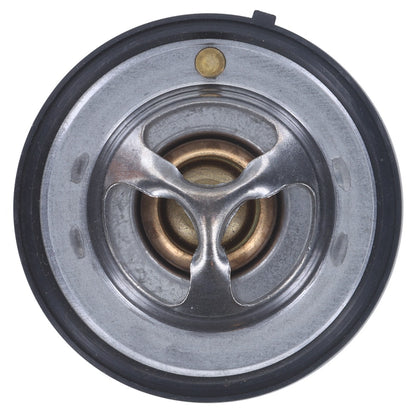 Motorad Engine Coolant Thermostat 658-170