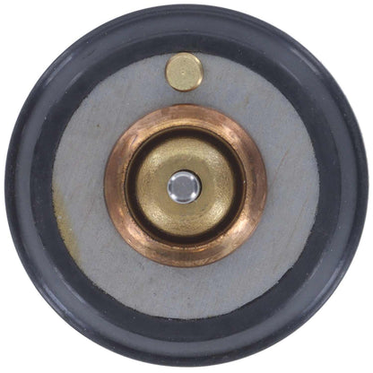 Motorad Engine Coolant Thermostat 707-203