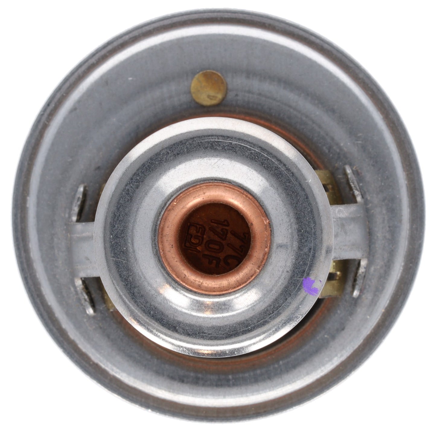 Motorad Engine Coolant Thermostat 7242-170