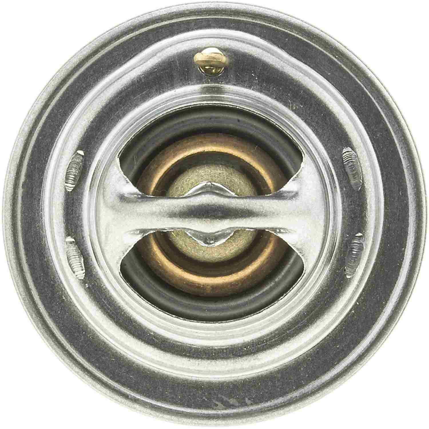 Motorad Engine Coolant Thermostat 7244-180