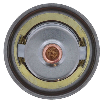 Motorad Engine Coolant Thermostat 7247-174