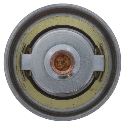 Motorad Engine Coolant Thermostat 7304-170