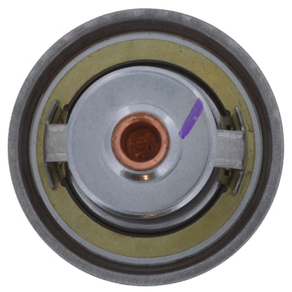Motorad Engine Coolant Thermostat 7304-192