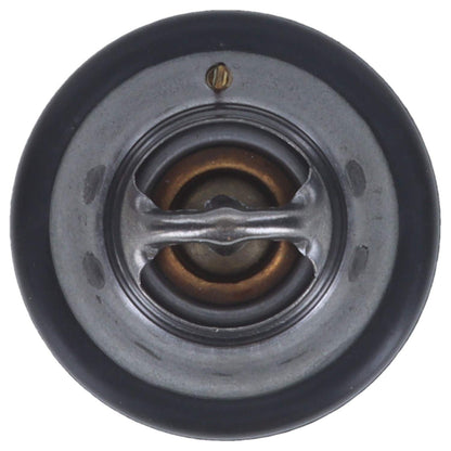 Motorad Engine Coolant Thermostat 7333-198