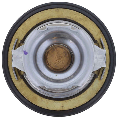 Motorad Engine Coolant Thermostat 7461-180