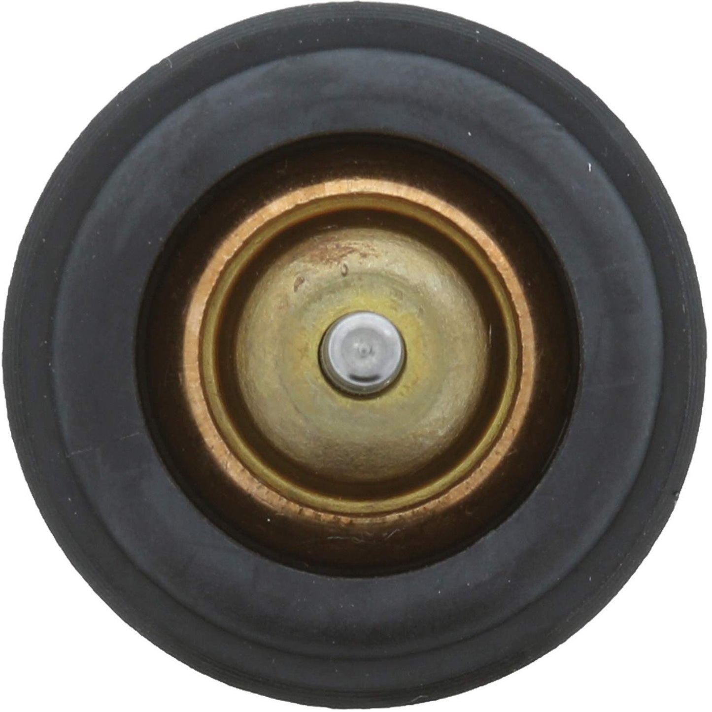 Motorad Engine Coolant Thermostat 973-221