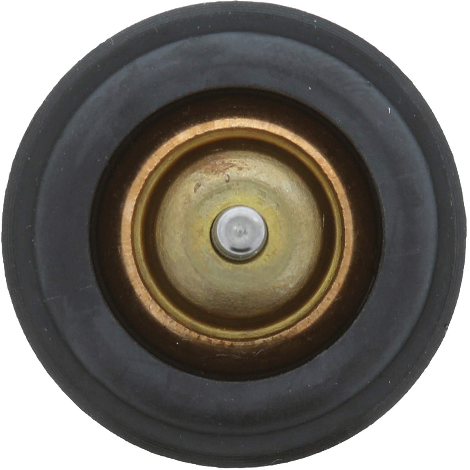 Motorad Engine Coolant Thermostat 973-221