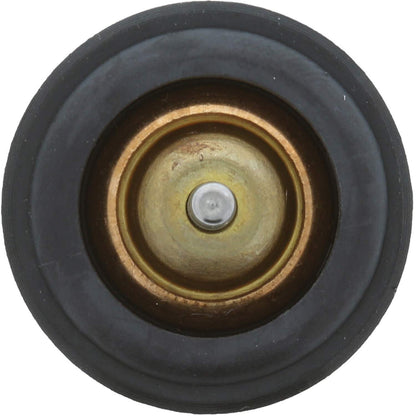 Motorad Engine Coolant Thermostat 973-221