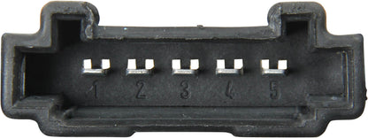 Ulo Tail Light