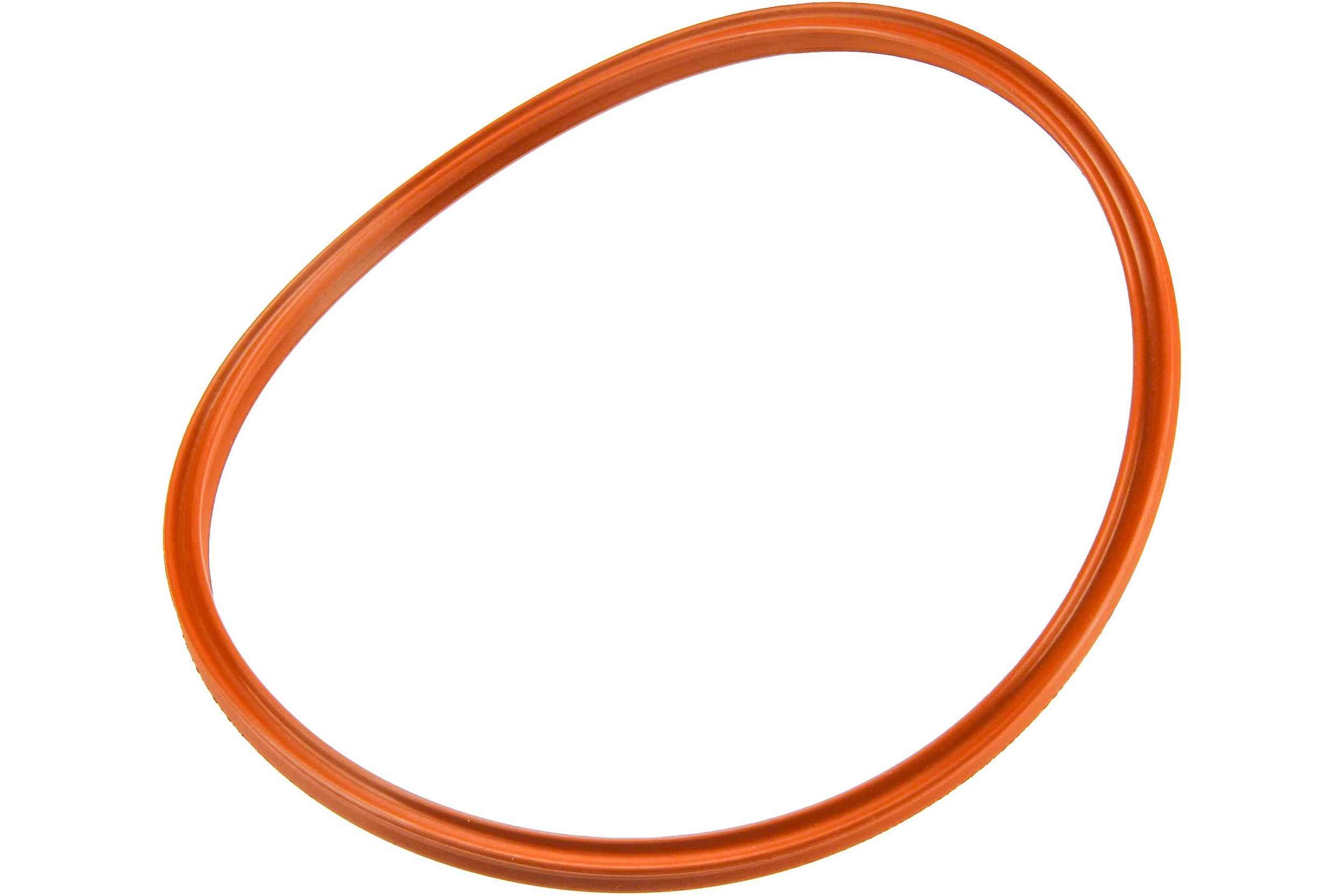 URO Fuel Pump O-Ring 0019977141