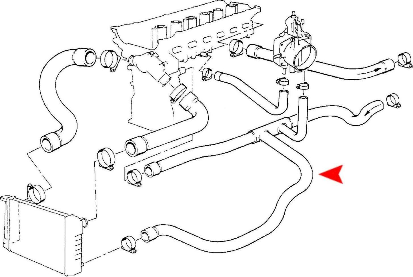 URO Engine Coolant Hose 11531726506
