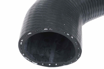 URO Radiator Coolant Hose 1192030282