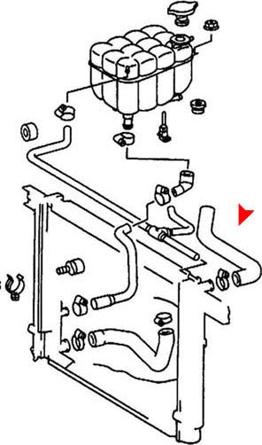 URO Radiator Coolant Hose 1295012682
