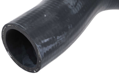 URO Radiator Coolant Hose 1295012682