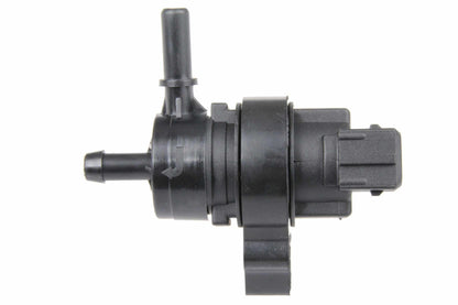 URO 2124702793