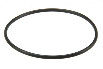 URO Fuel Pump O-Ring 4544780012