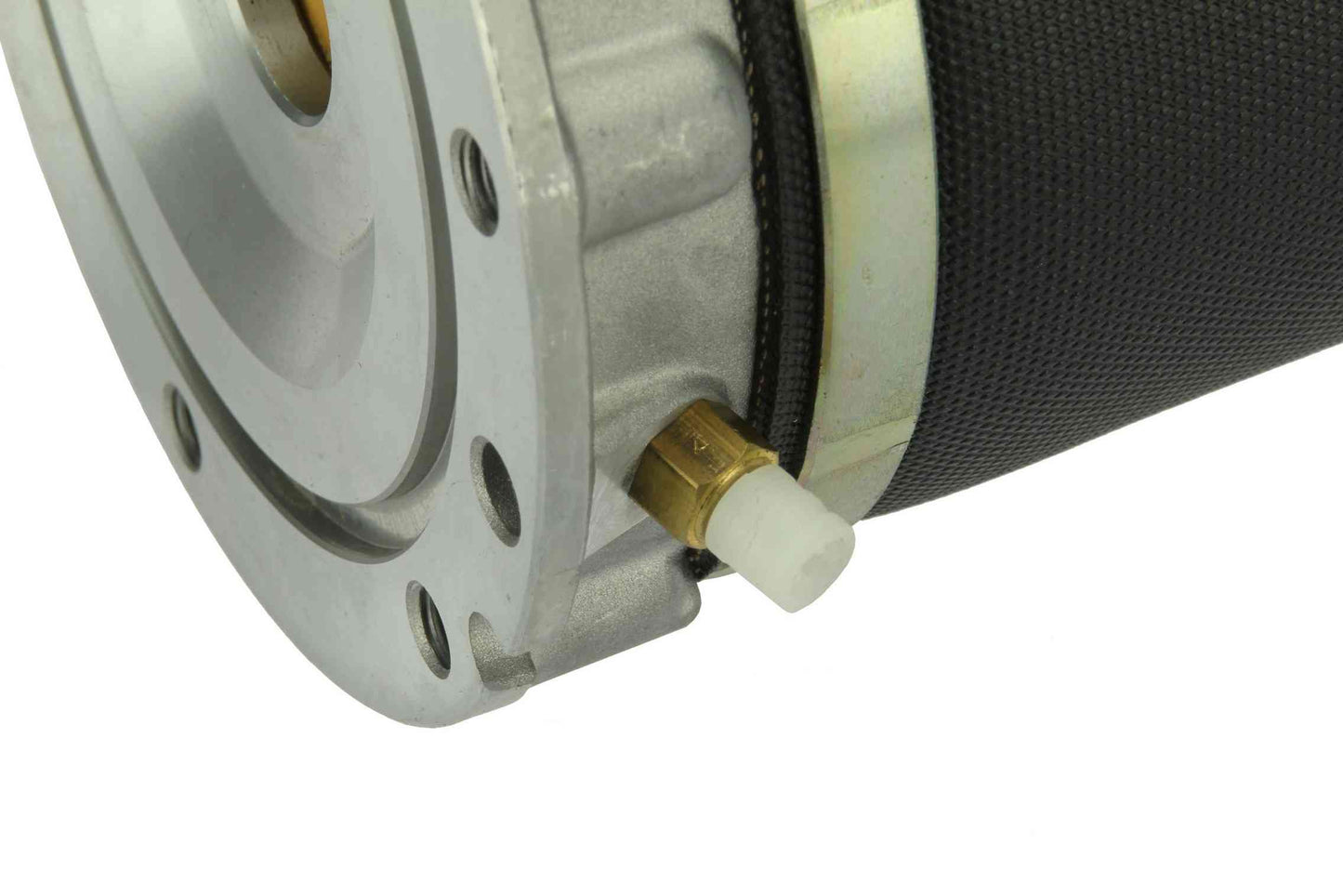 Autotecnica Suspension Strut Assembly AU099516
