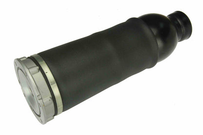 Autotecnica Suspension Strut Assembly AU099516
