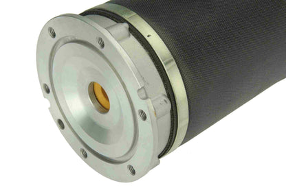 Autotecnica Suspension Strut Assembly AU099516