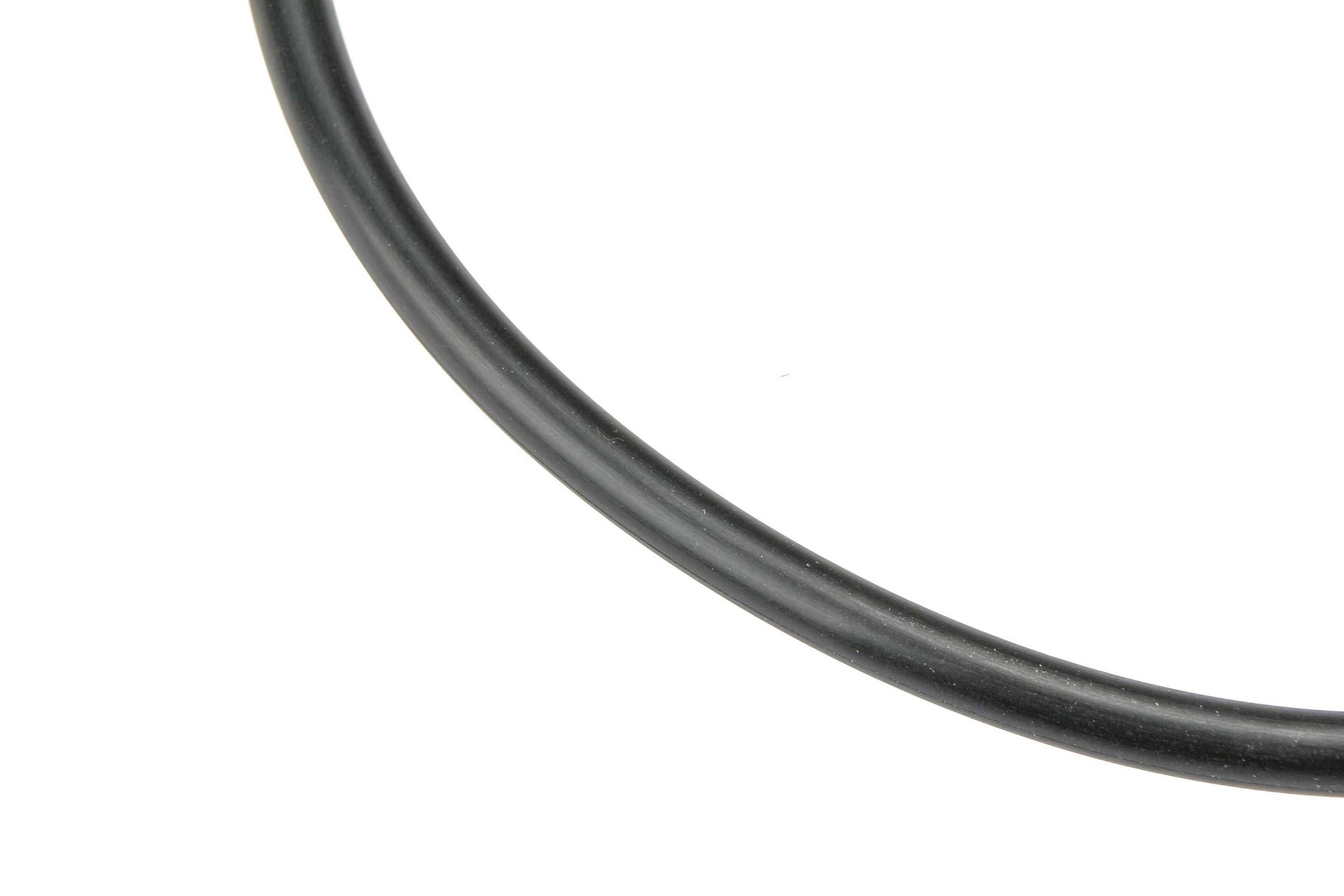 Autotecnica Fuel Pump O-Ring CY0516171