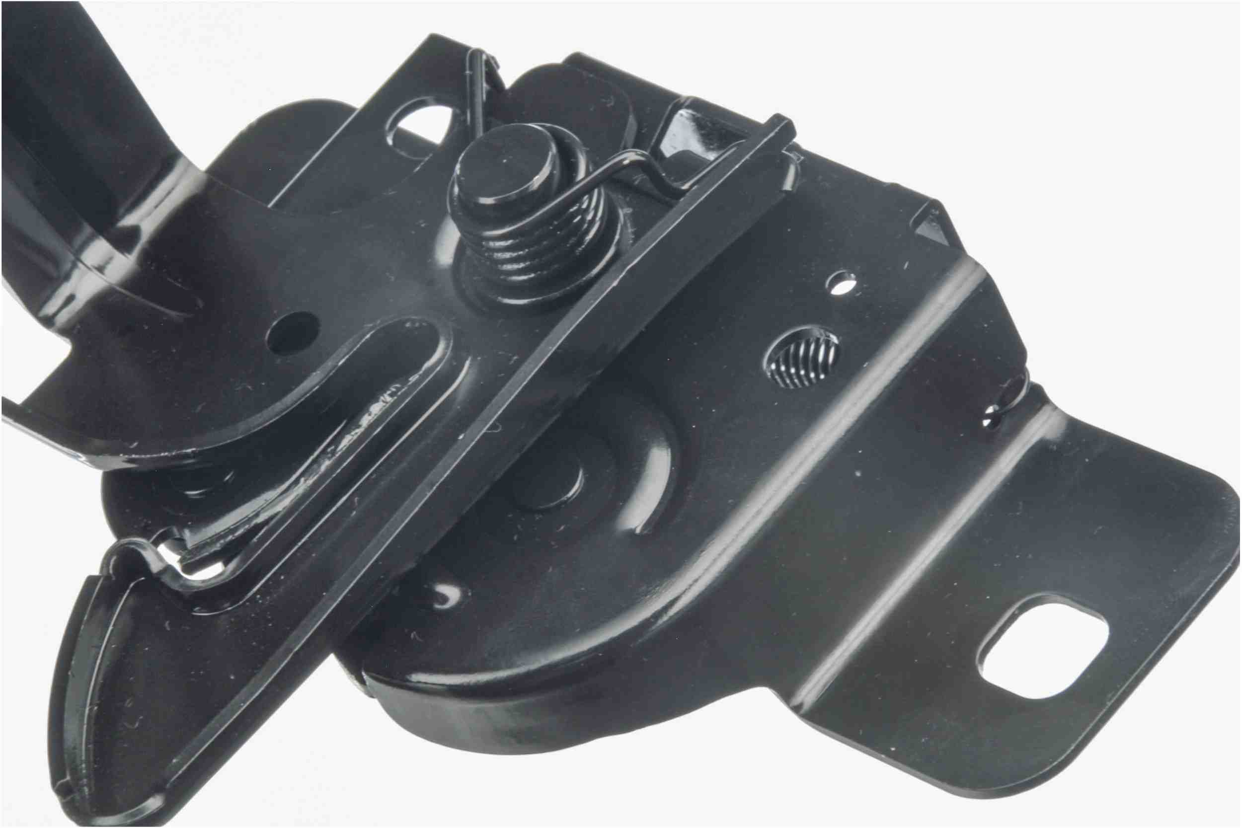 Autotecnica Hood Latch Assembly DG0818087