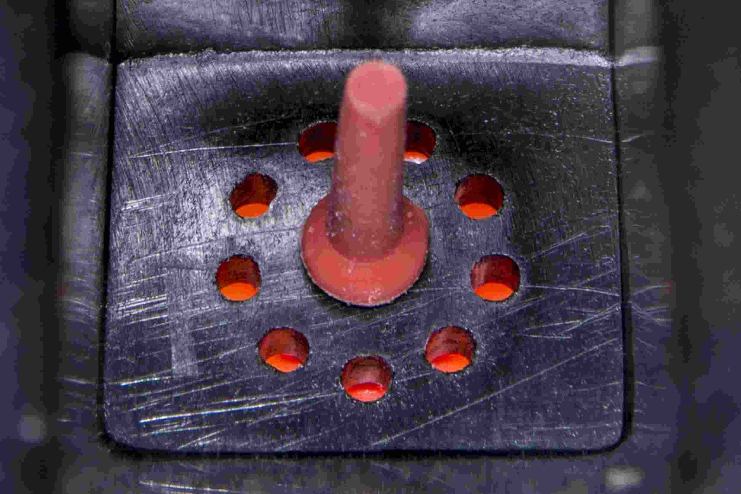 Autotecnica Engine Intake Manifold GM1416586