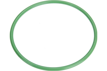 Autotecnica Fuel Pump Seal NI0515879