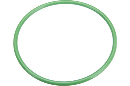 Autotecnica Fuel Pump Seal NI0515882