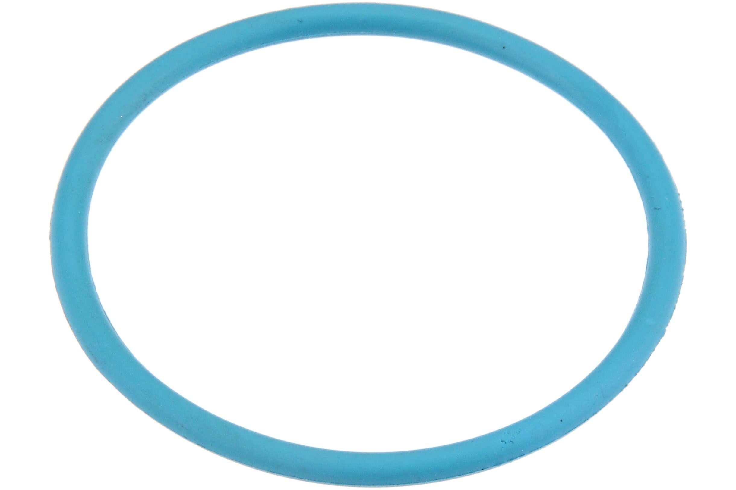 URO Fuel Pump O-Ring WHT005184
