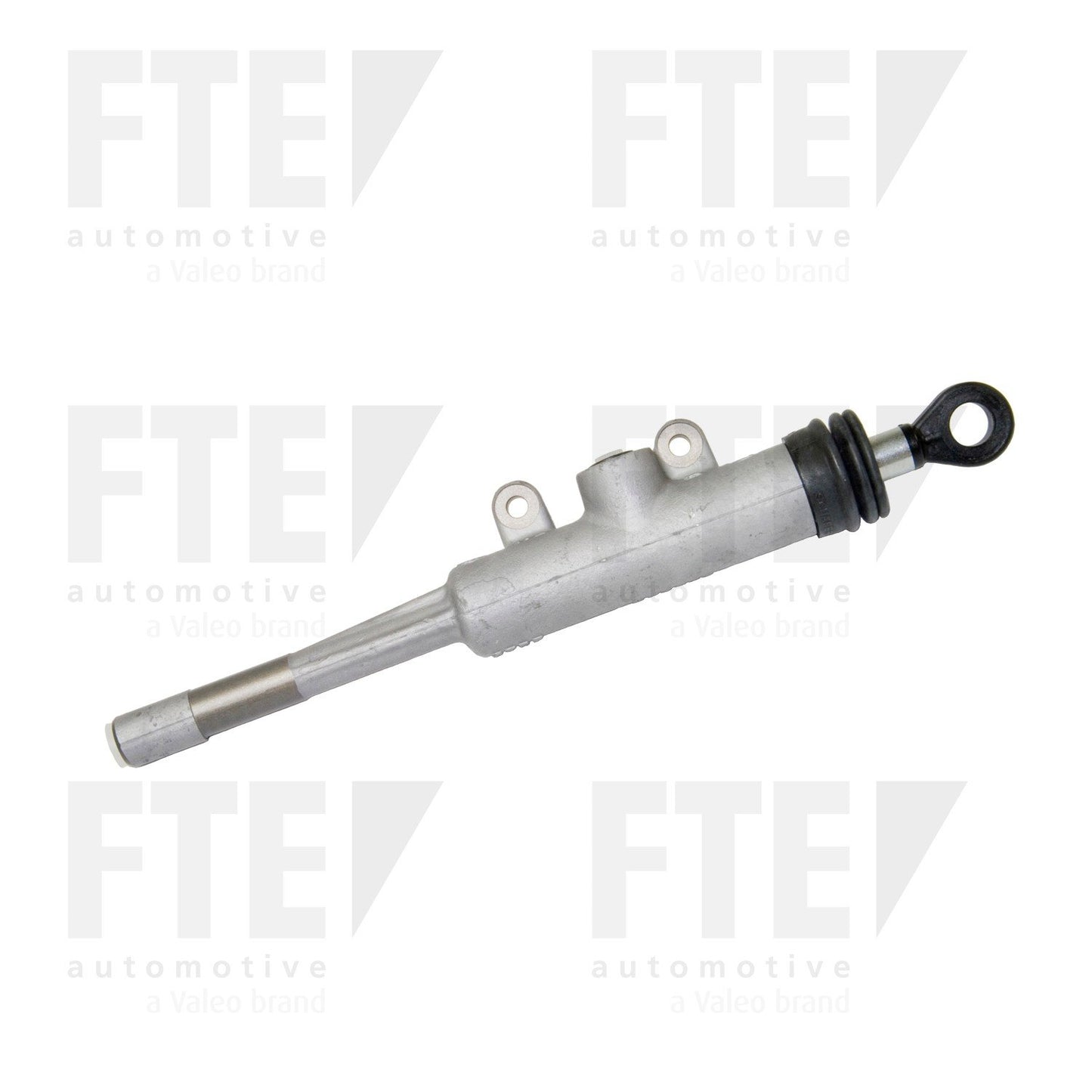 FTE FTE CMC 2100719