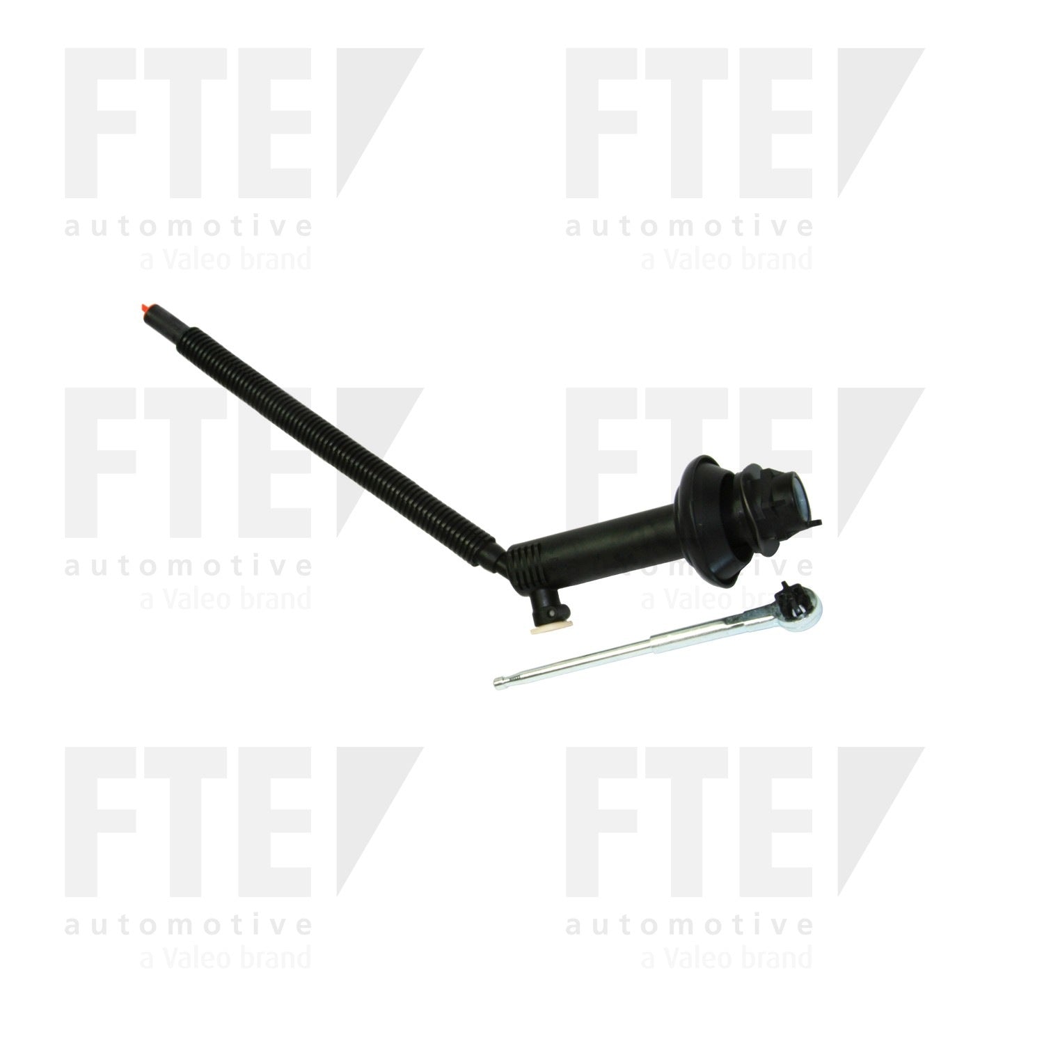 FTE FTE CMC 2103118