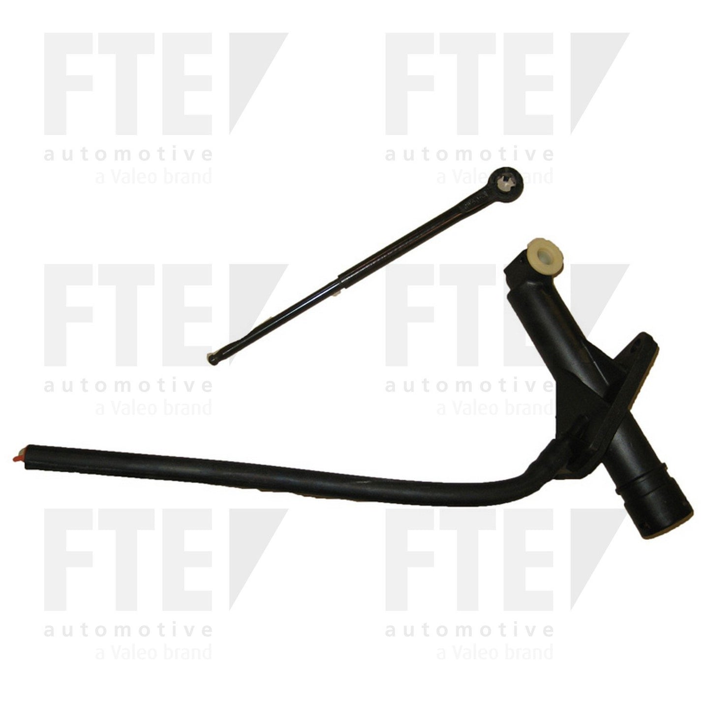 FTE FTE CMC 2118819