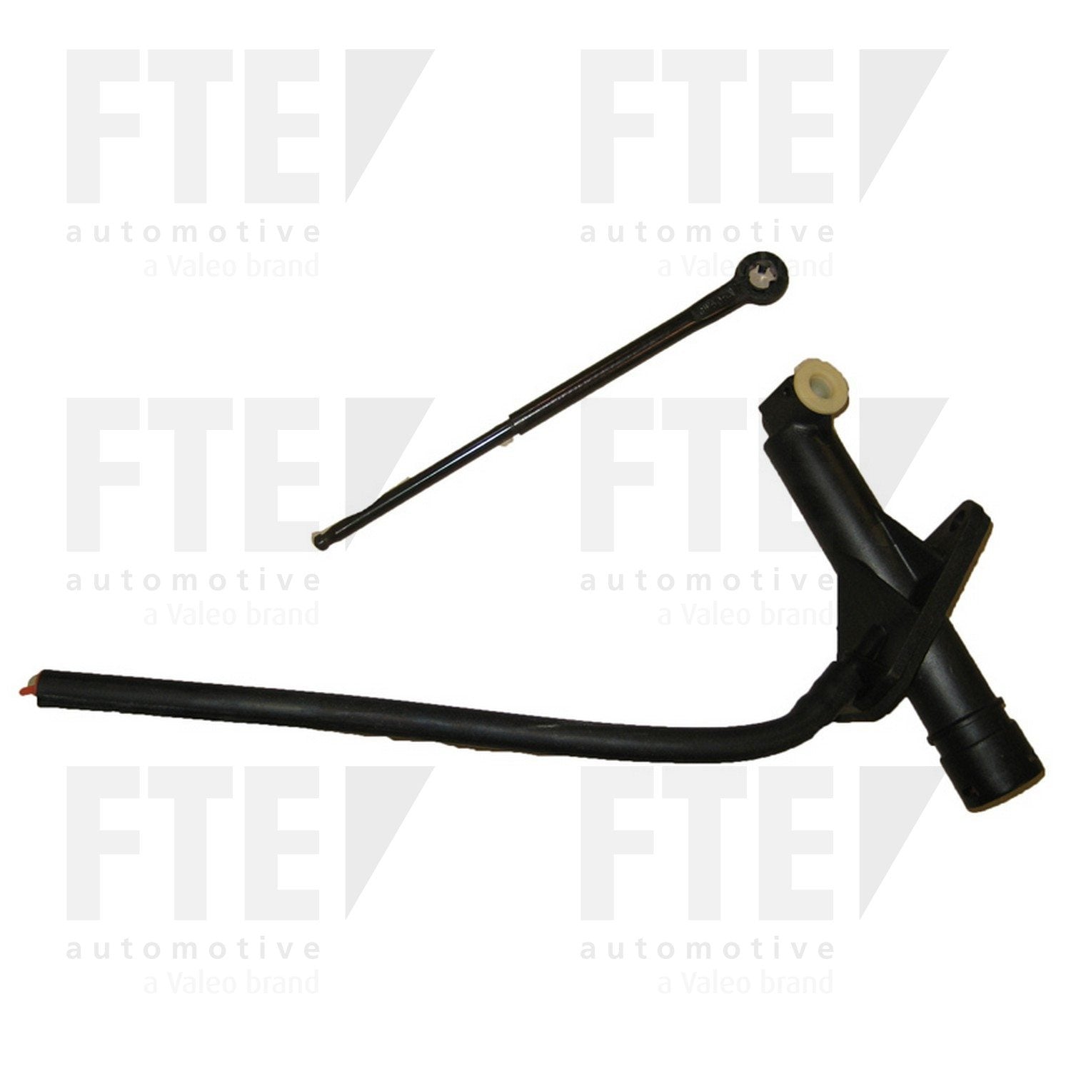 FTE FTE CMC 2118819