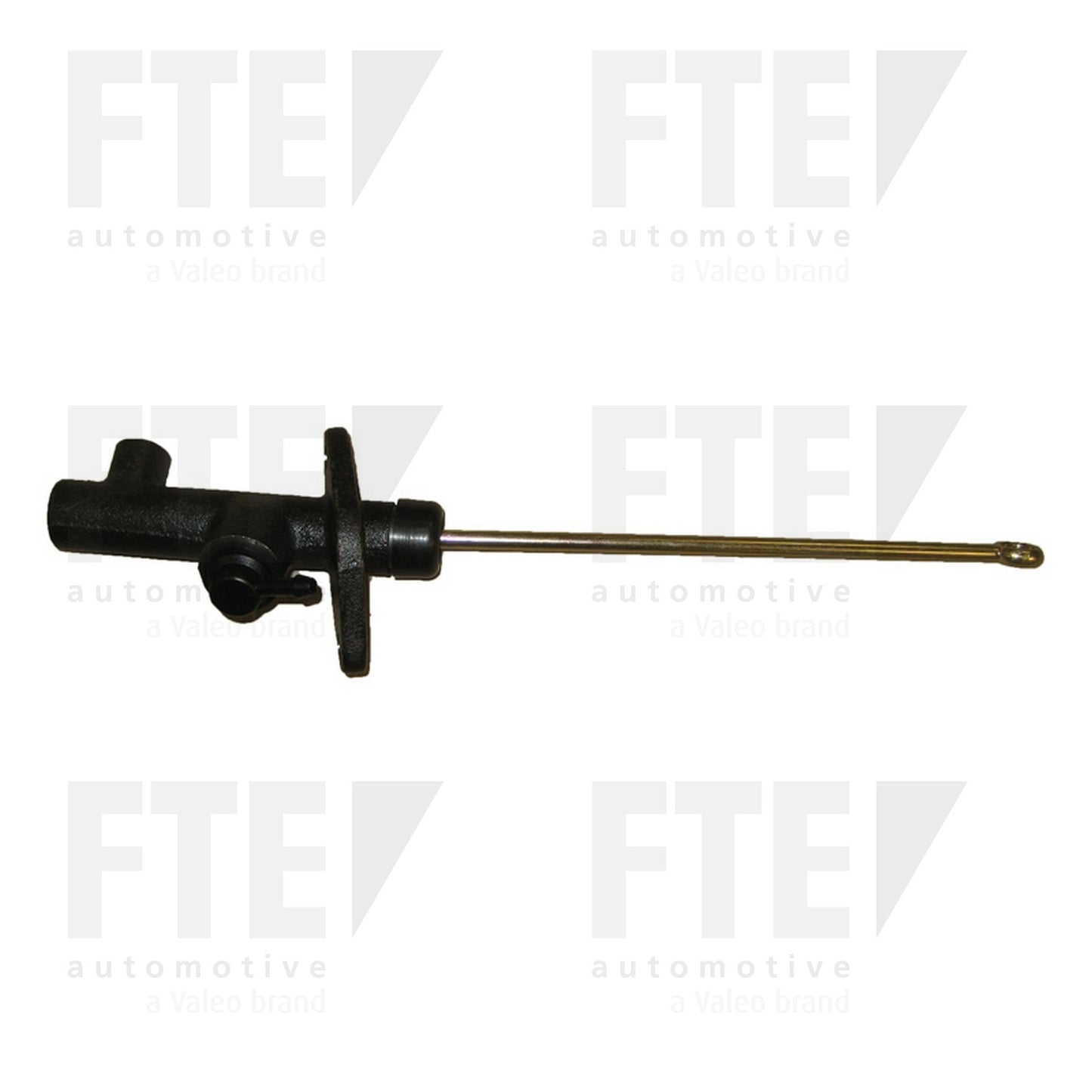 FTE FTE CMC 2124218