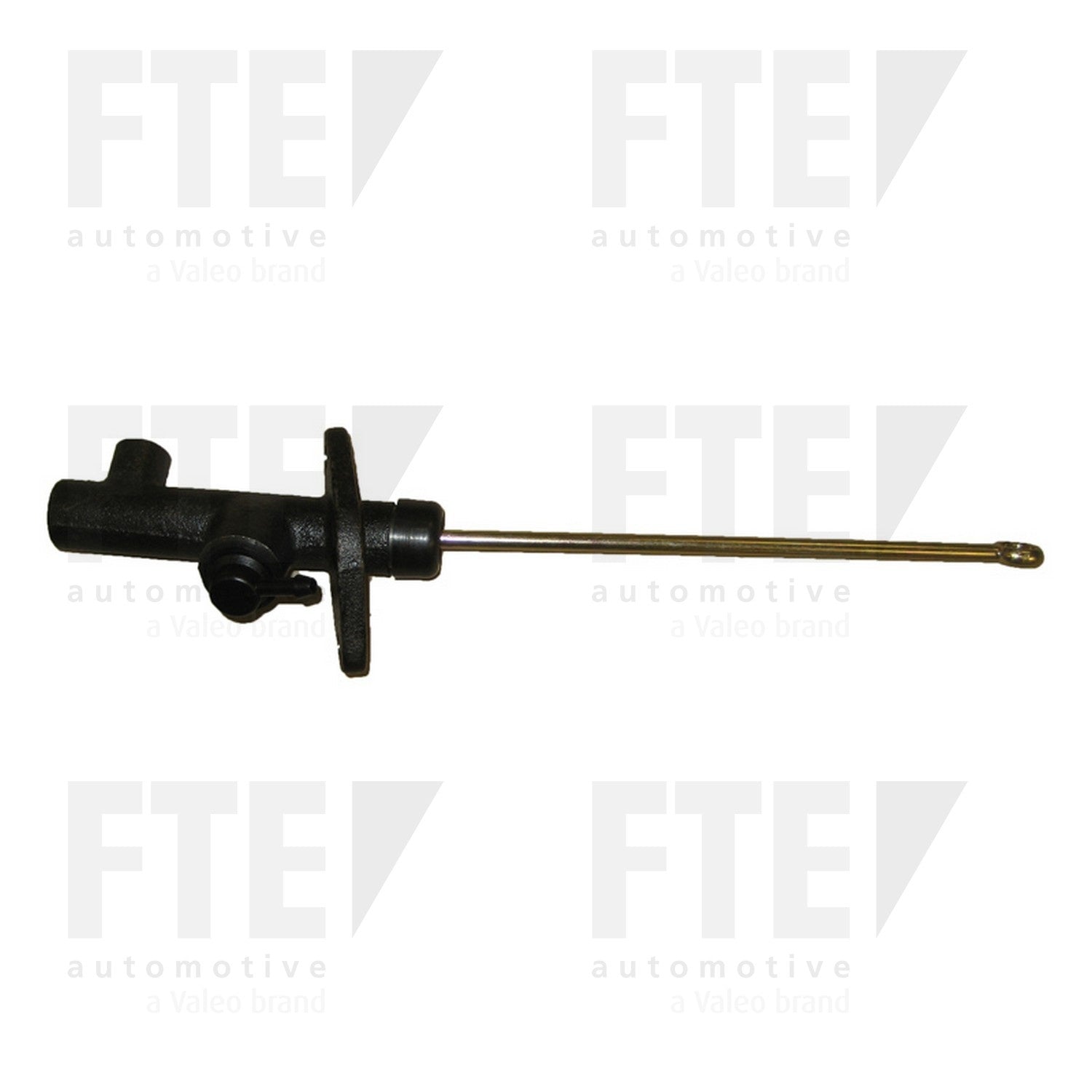 FTE FTE CMC 2124218