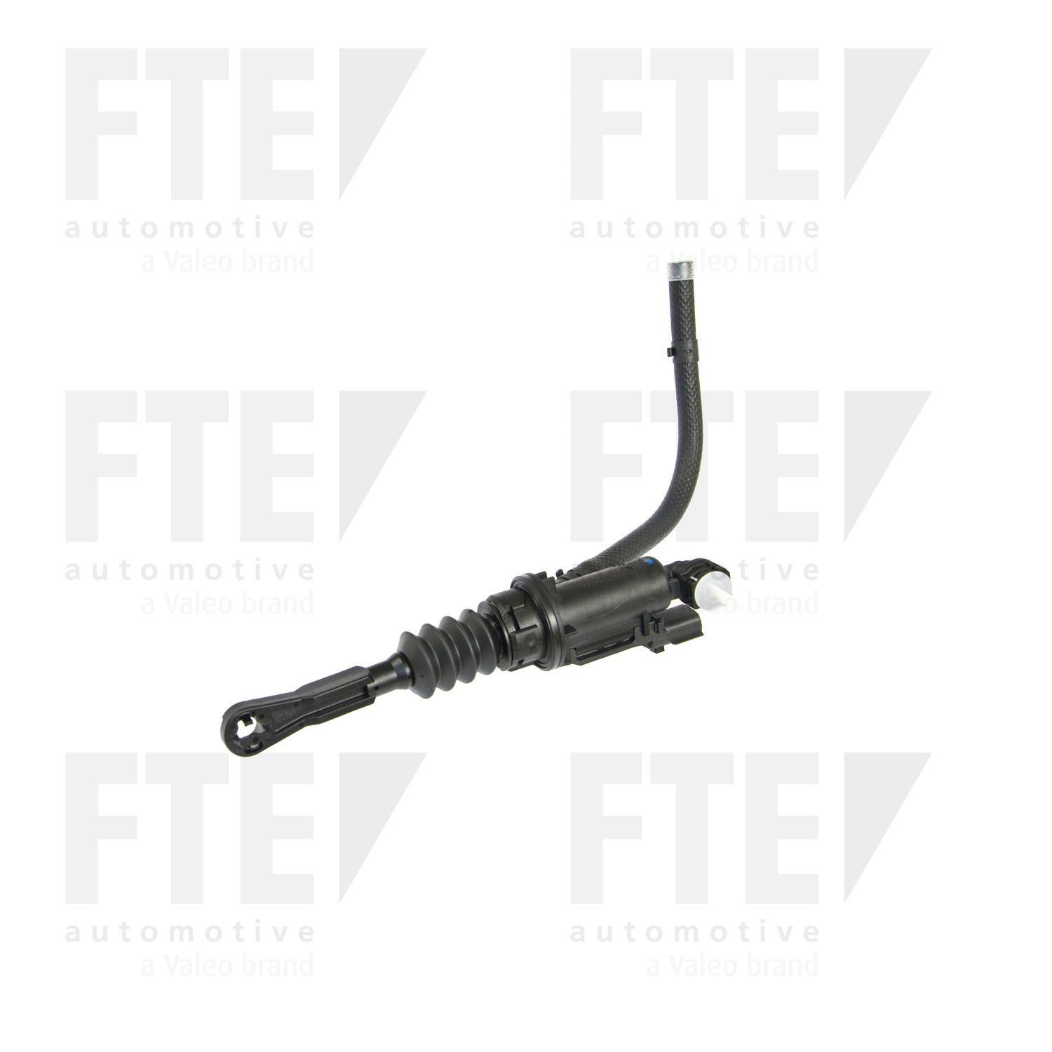 FTE FTE CMC 2193619
