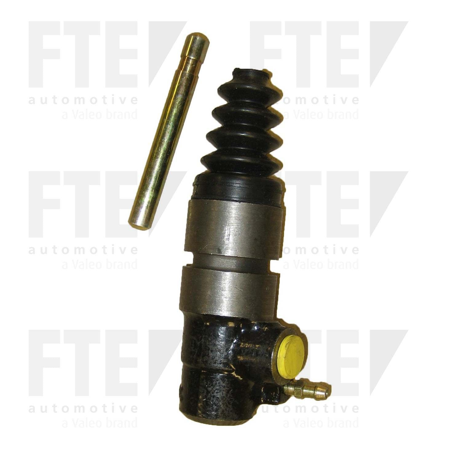 FTE FTE CSC 3100522