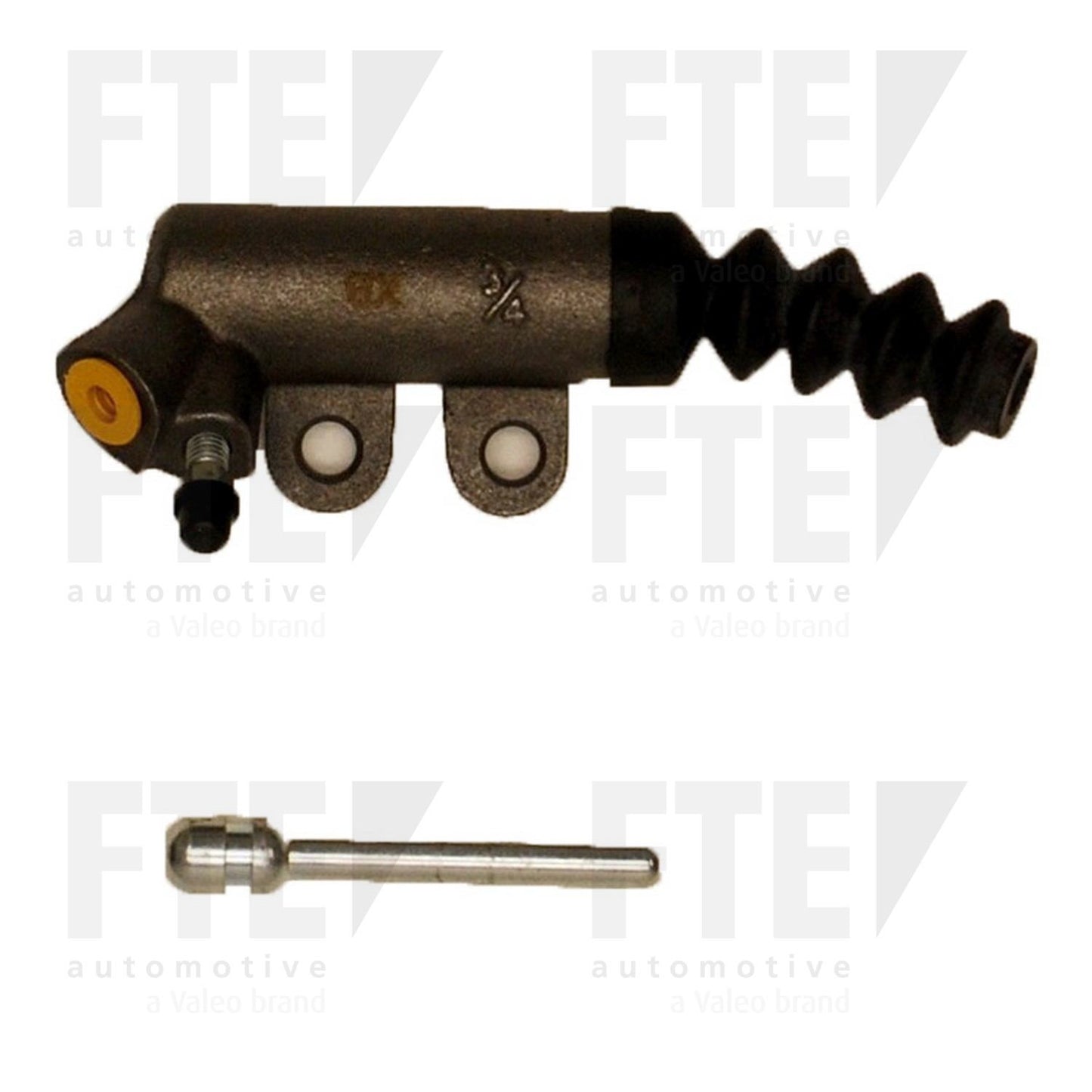 FTE FTE CSC 3111619
