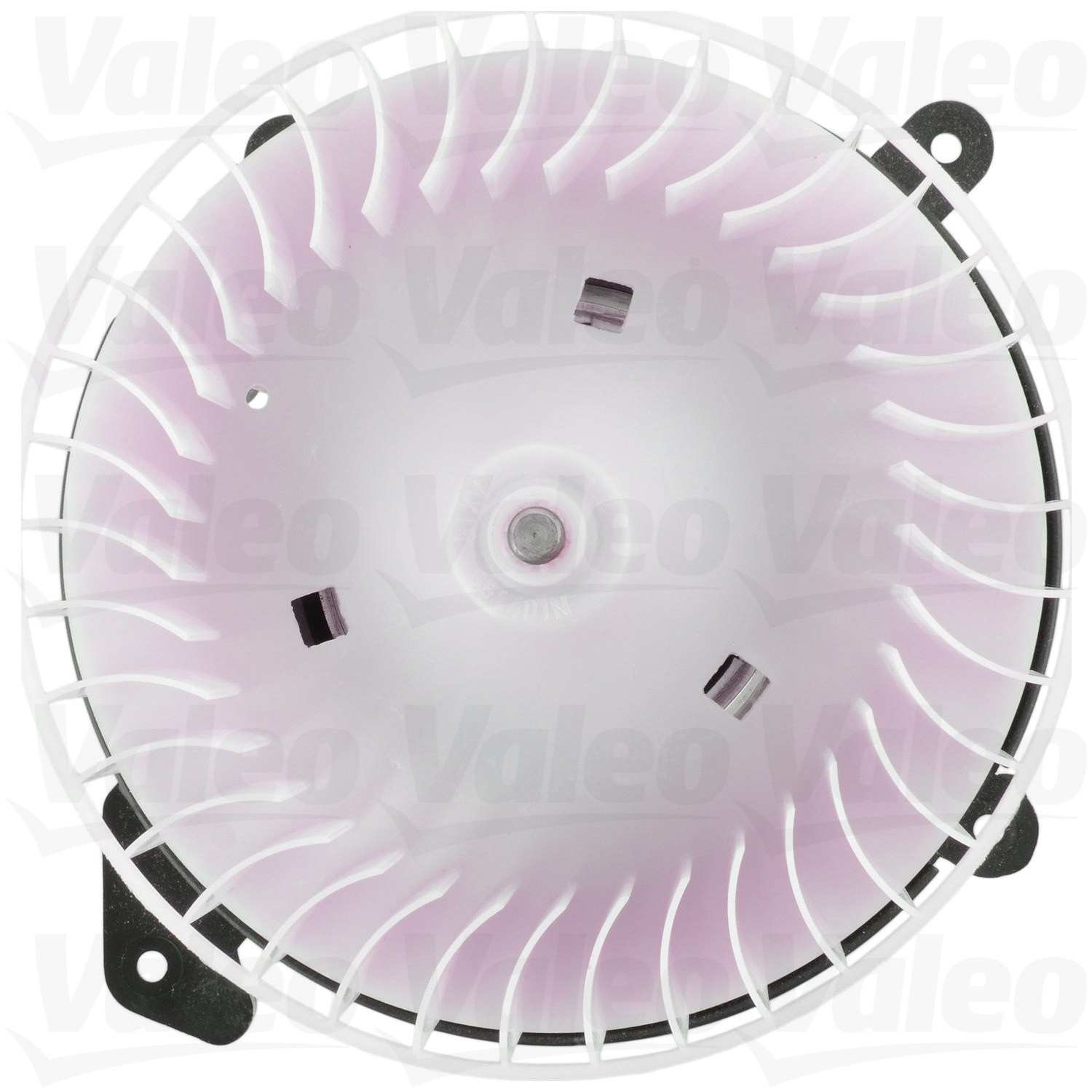 Valeo Blower Motor 698244