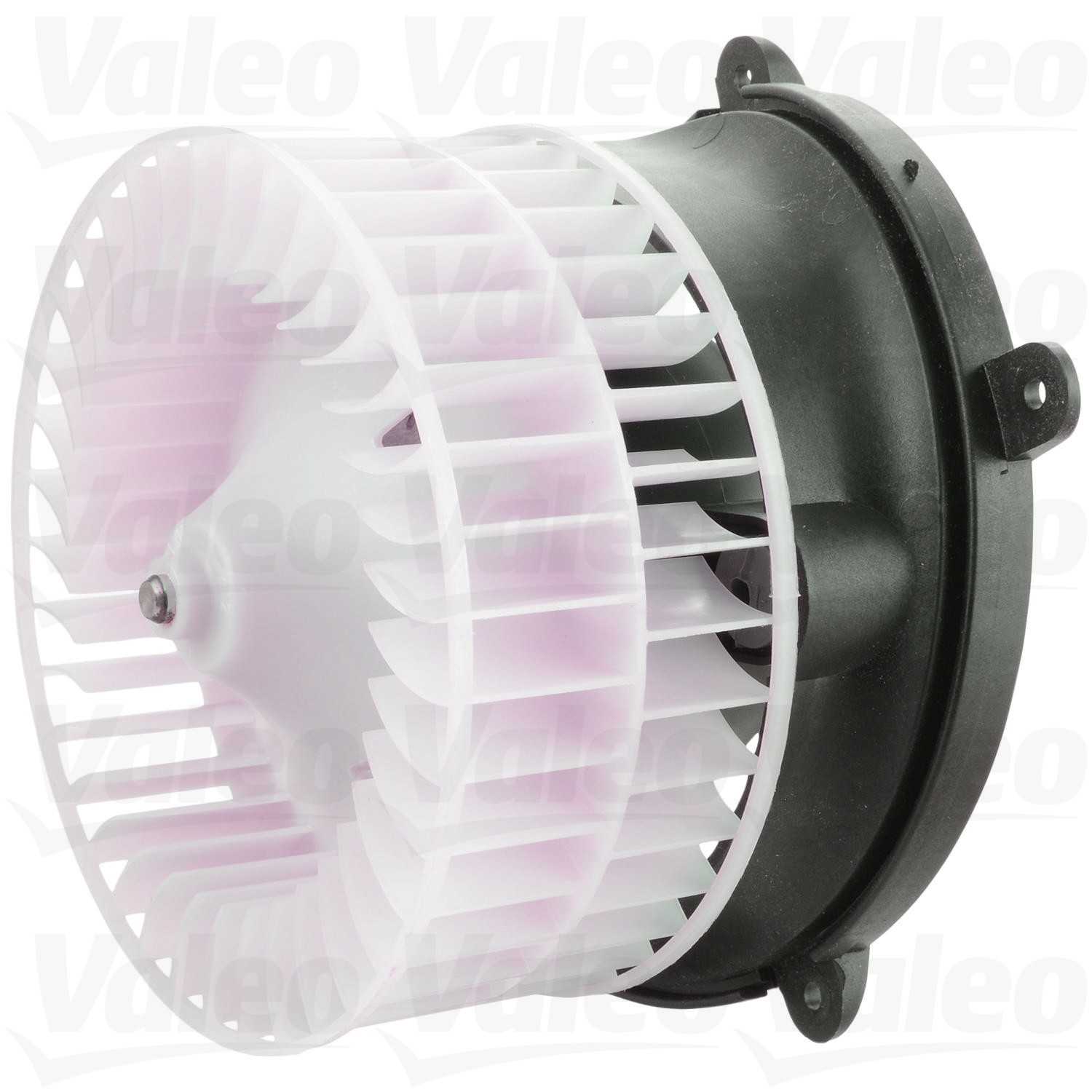 Valeo Blower Motor 698244