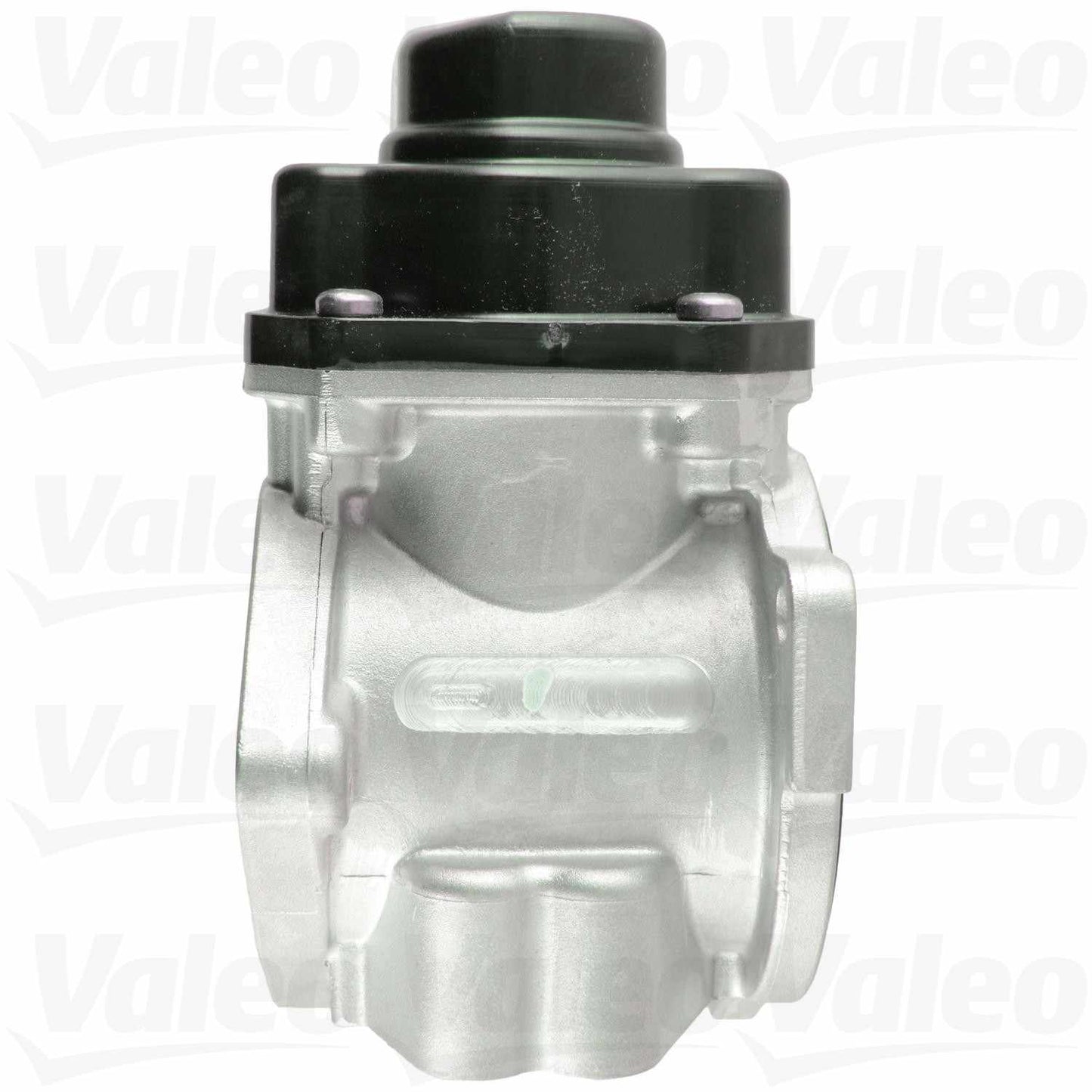 Valeo EGR Valve 700424